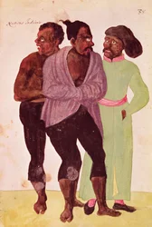 Indiánské národy, 1567